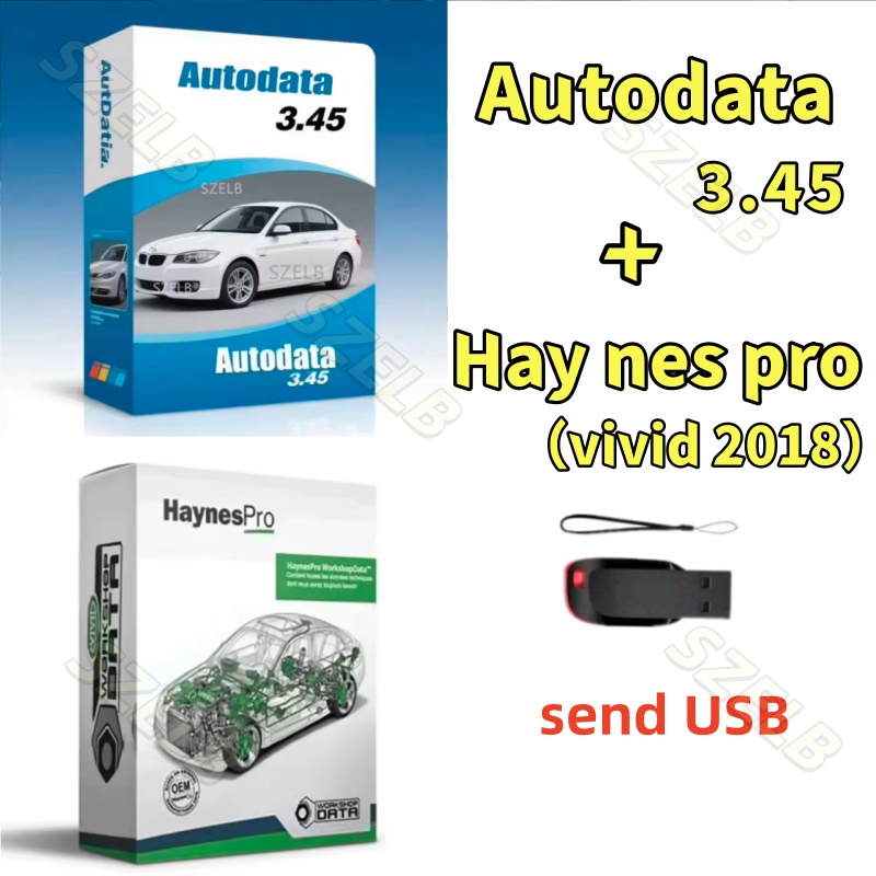 Newest hay nes pro（vivid 2018） - Auto Repair Shop Software 评论和价格